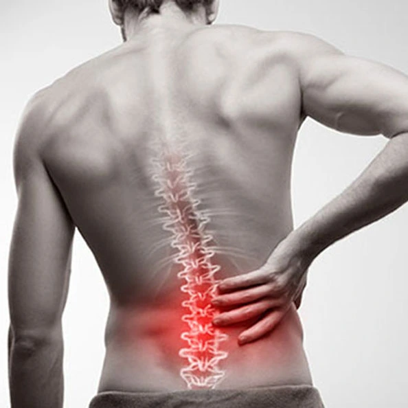 Cover image showing the low back region for low back exercises