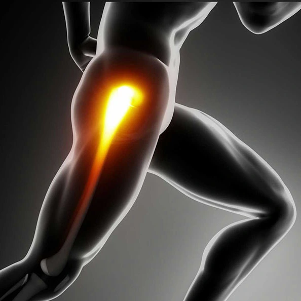 Cover image showing the hip region for hip exercises
