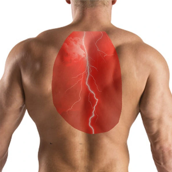 Cover image showing the upper back region for back exercises